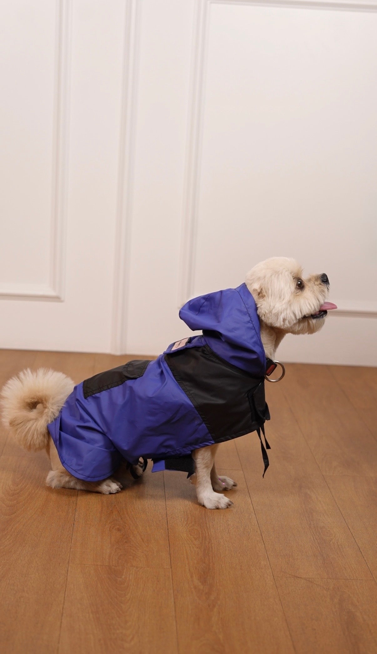 Blue Breeze raincoat