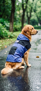 Blue Breeze raincoat
