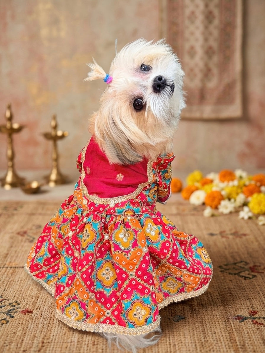 Rani Utsav Dress