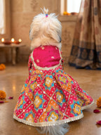 Rani Utsav Dress