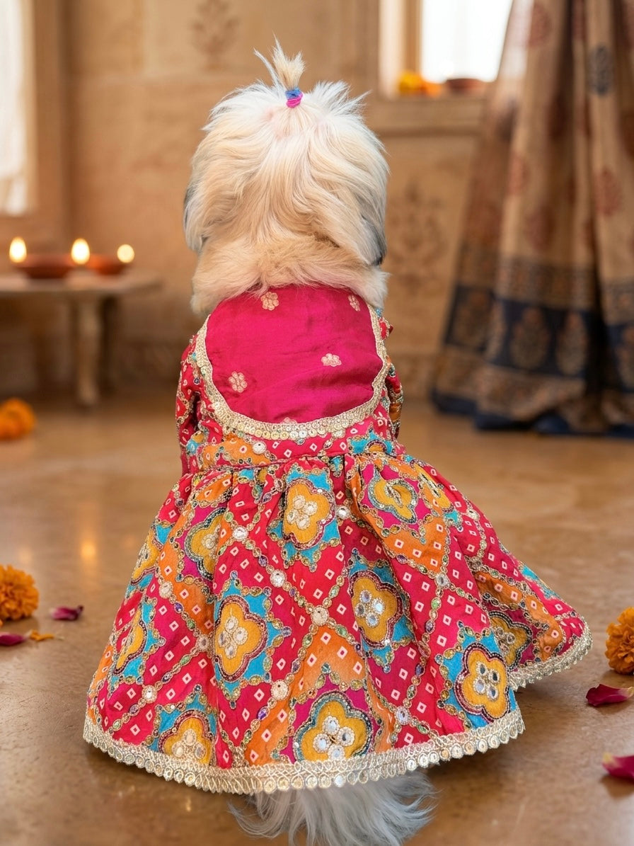 Rani Utsav Dress