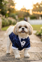 Blue Sequins Tuxedo Shirt