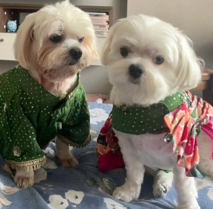 Dog Couple Outfit - Furrvanity