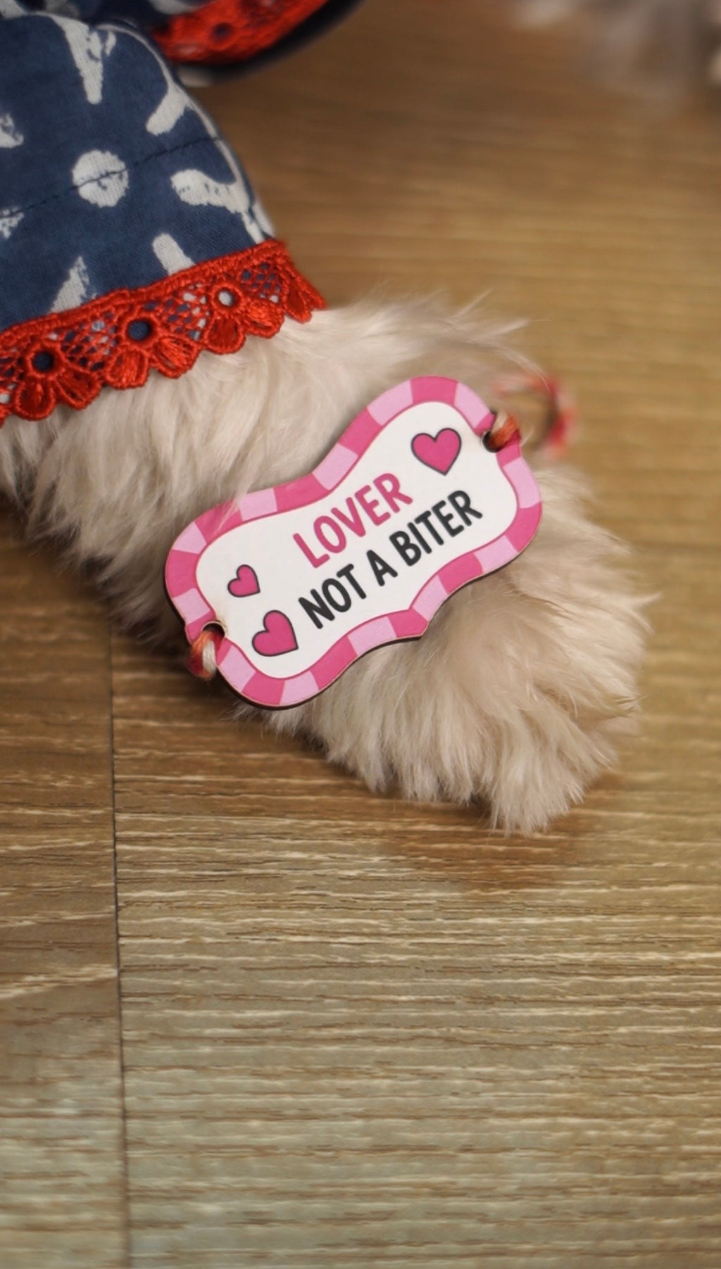 Lover Not Biter Rakhi