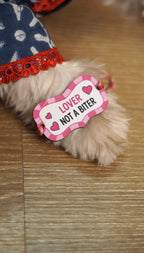 Lover Not Biter Rakhi