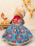 Meher Blue Anarkali