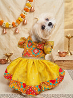 Sunehri Bandhani Dress
