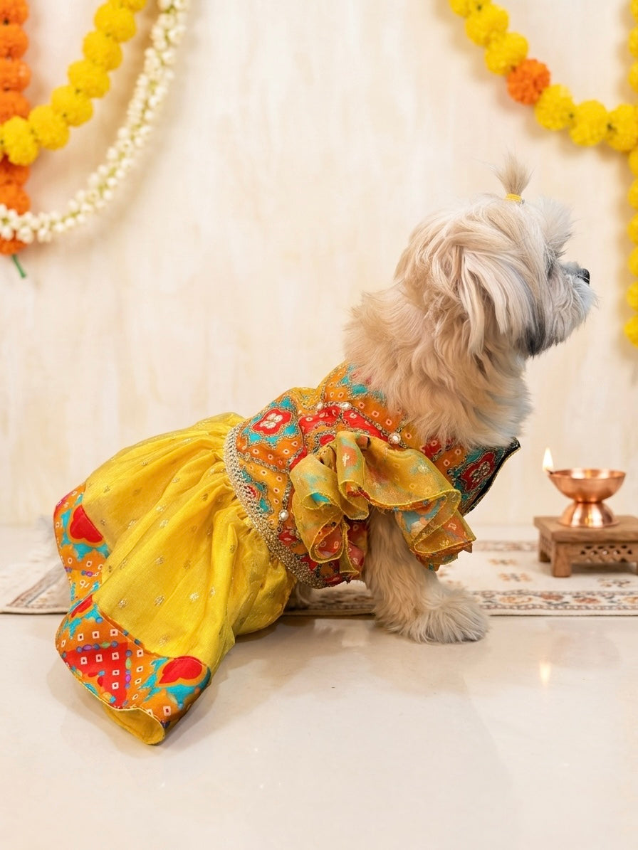Sunehri Bandhani Dress