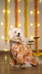 Shahi ivory mirror Sherwani