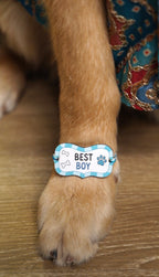 Best Boy Rakhi