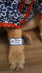 Pawsome Brother Rakhi