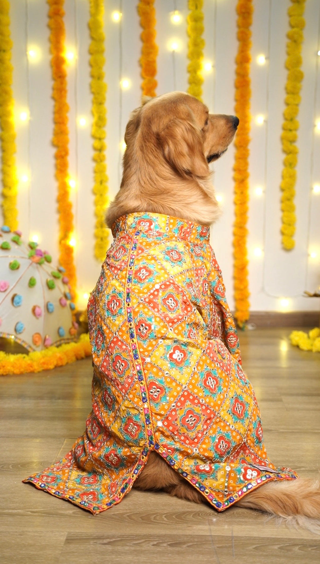 Kesari mirror Sherwani