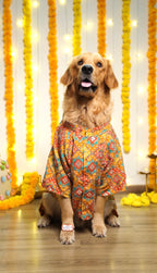 Kesari mirror Sherwani