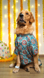 Shehenshah Teal Sherwani