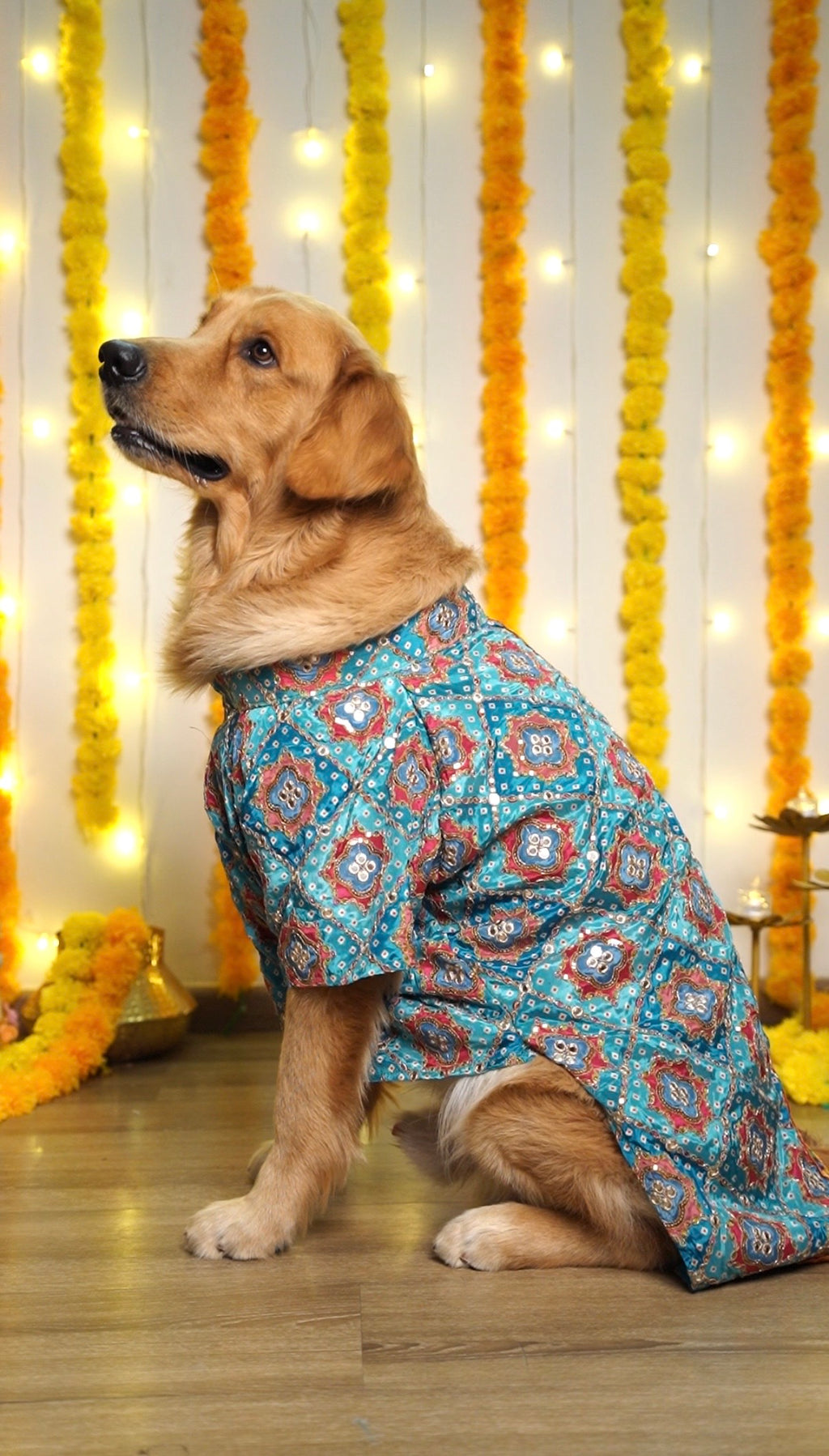 Shehenshah Teal Sherwani