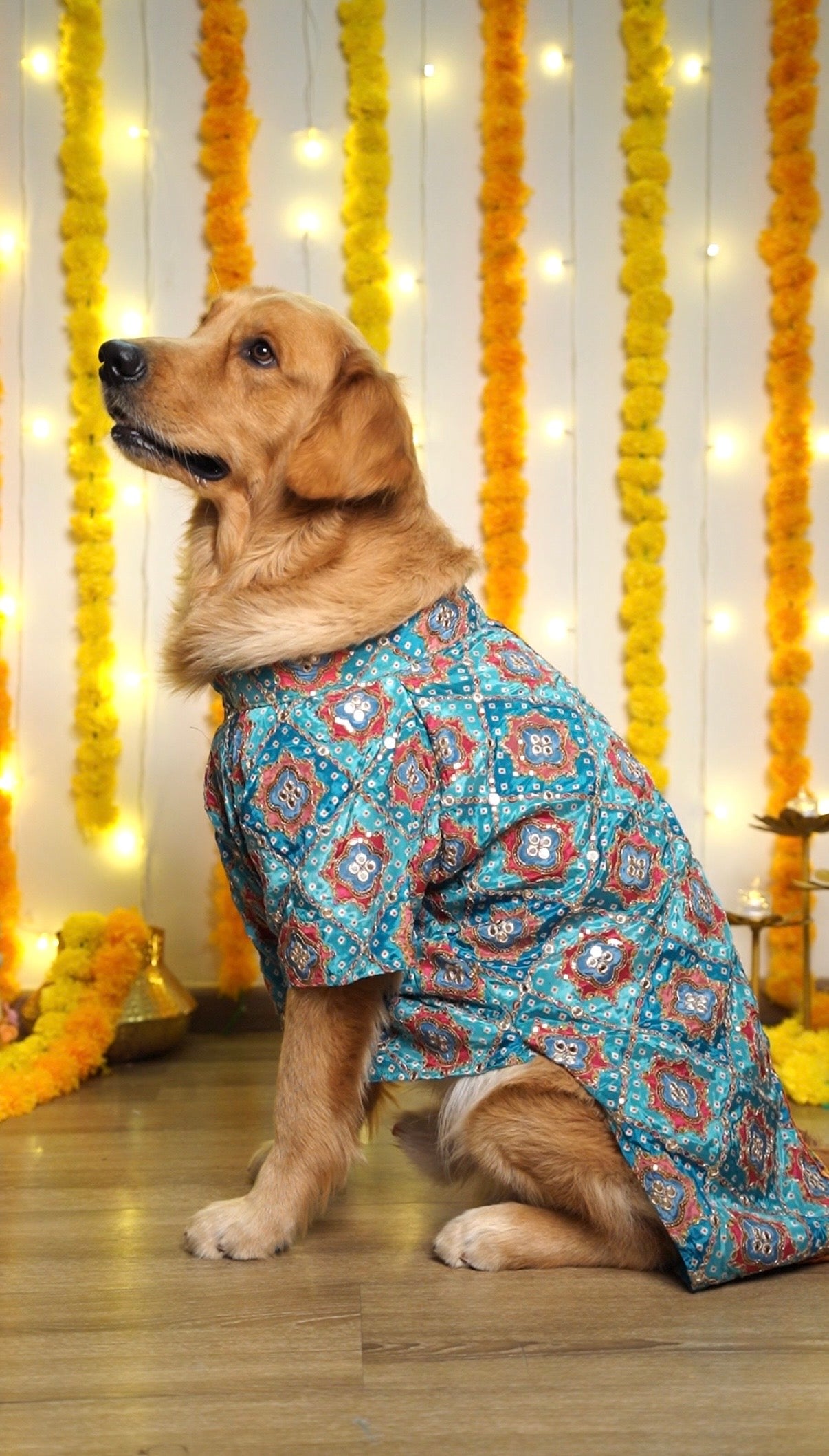 Shehenshah Teal Sherwani