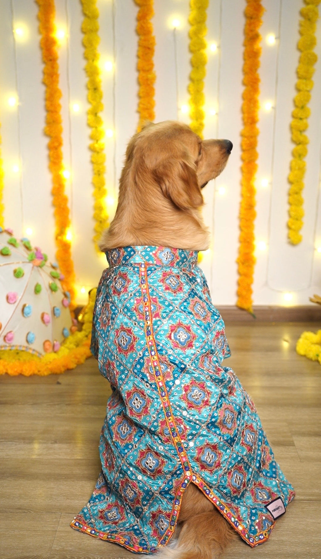 Shehenshah Teal Sherwani