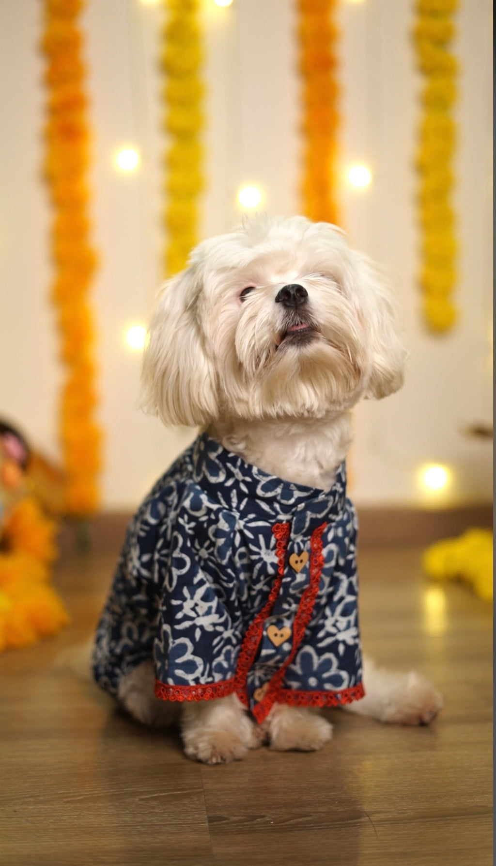 Indigo cotton kurta