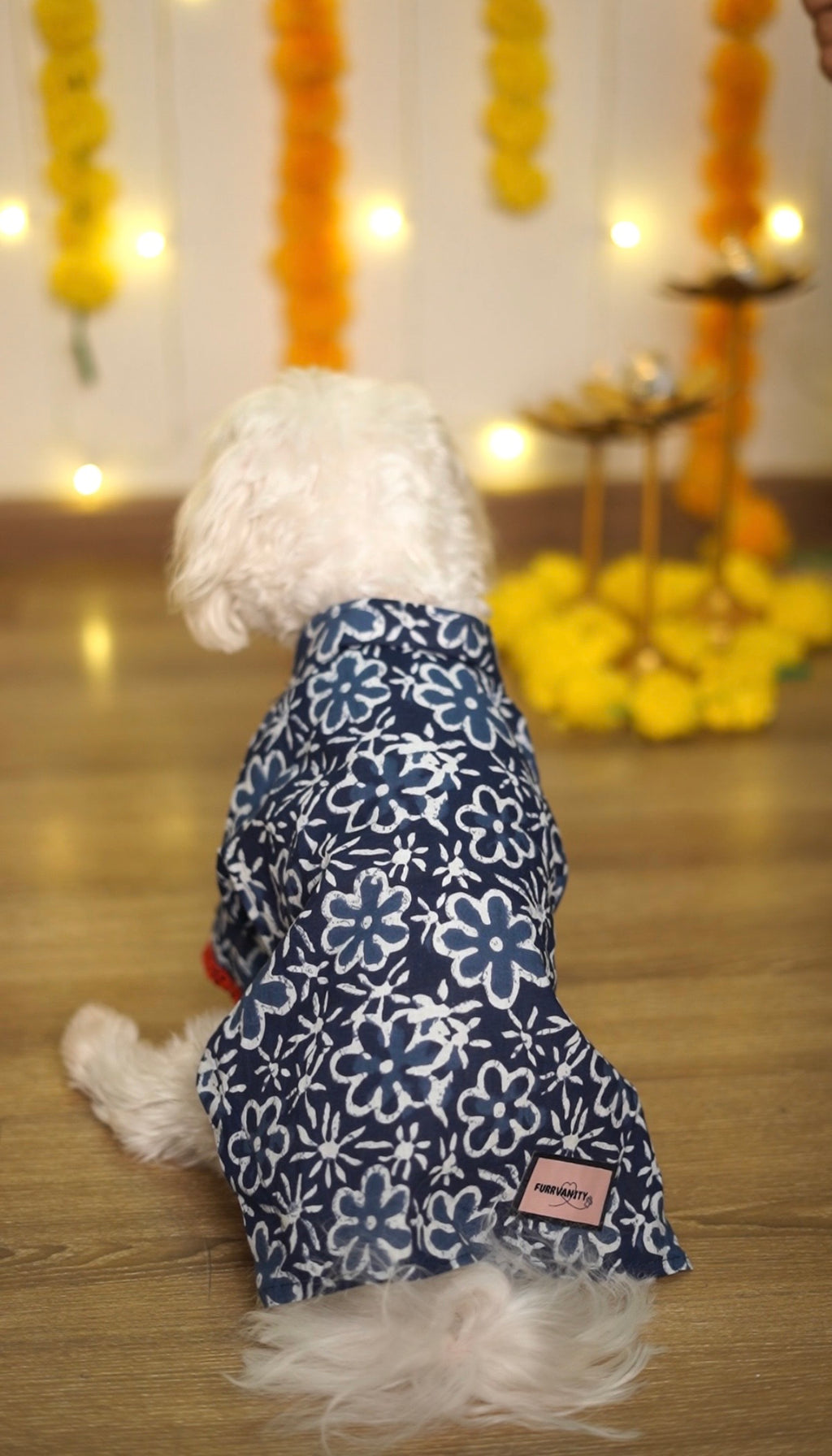 Indigo cotton kurta