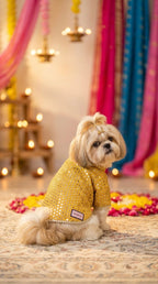 Yellow mirror work sherwani