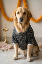 Black mirror work sherwani