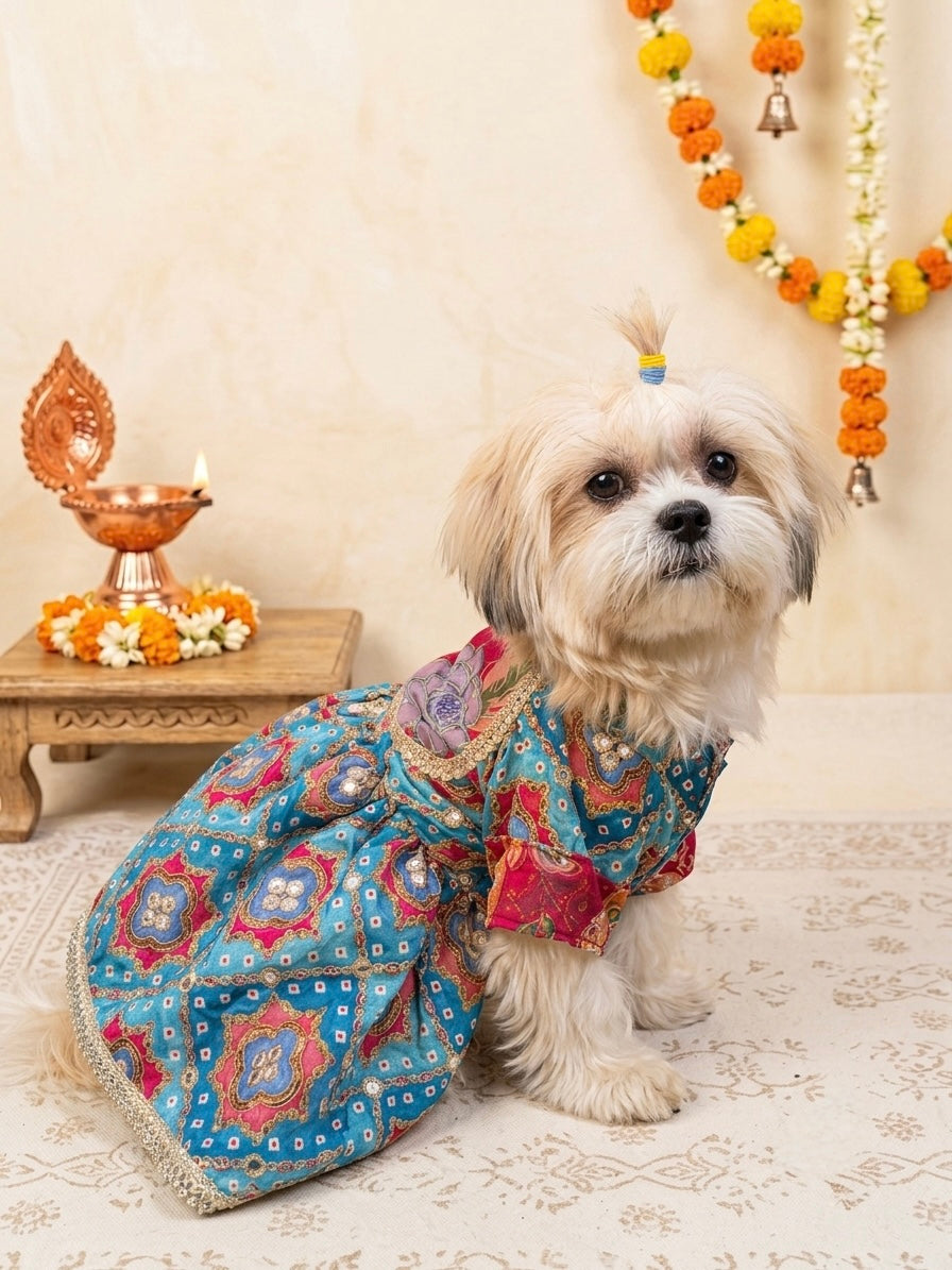Meher Blue Anarkali