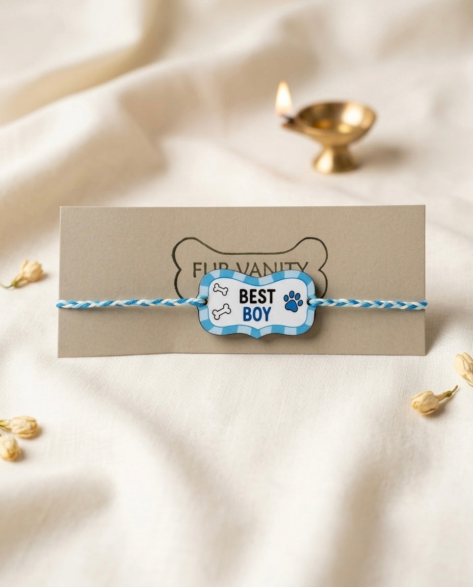 Best Boy Rakhi