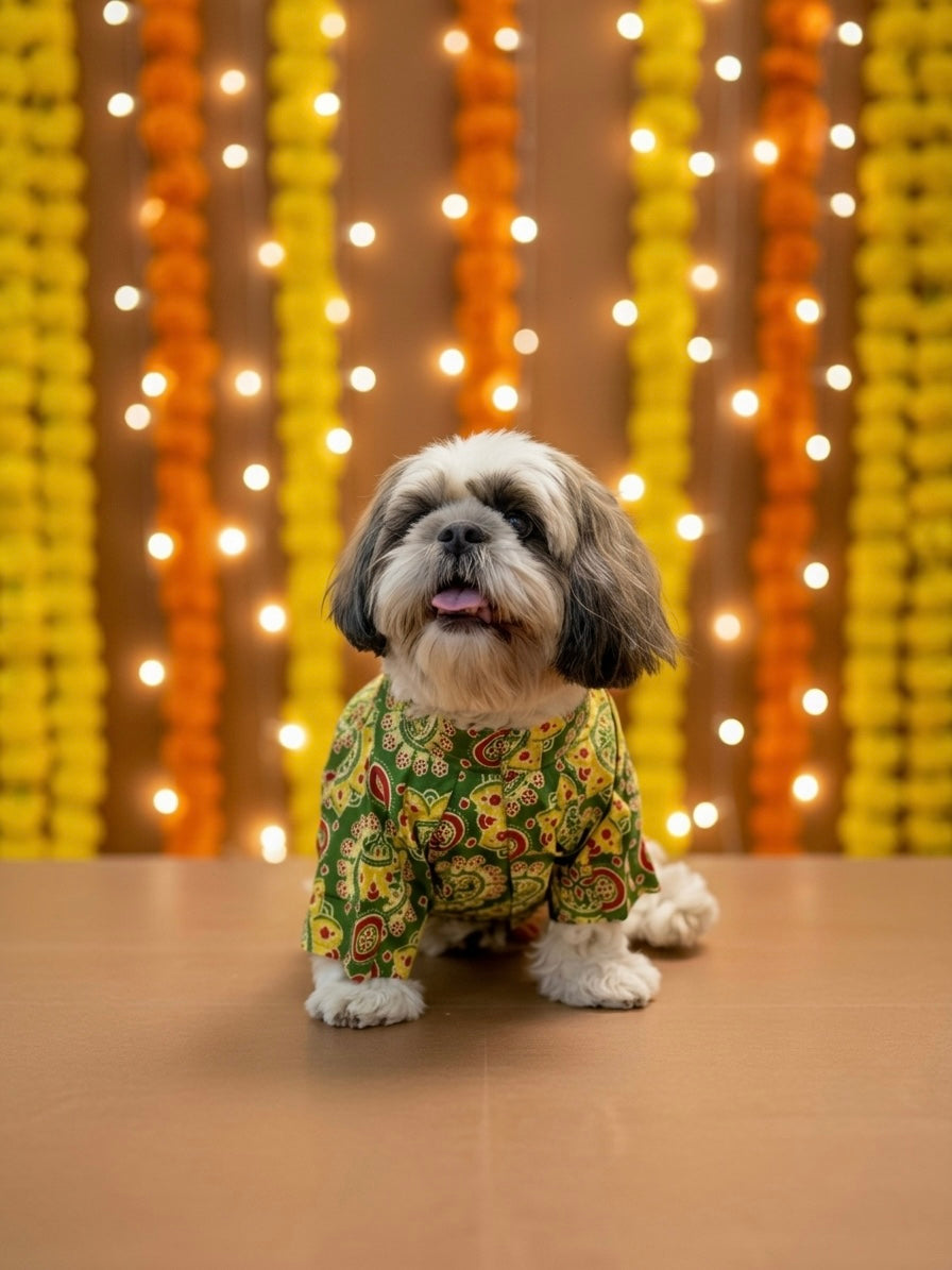 Green Ajrakh kurta