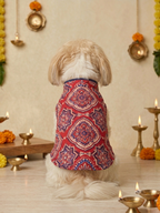 Rangini cotton bandhgala