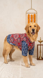 Rangini cotton bandhgala with Indigo kurta
