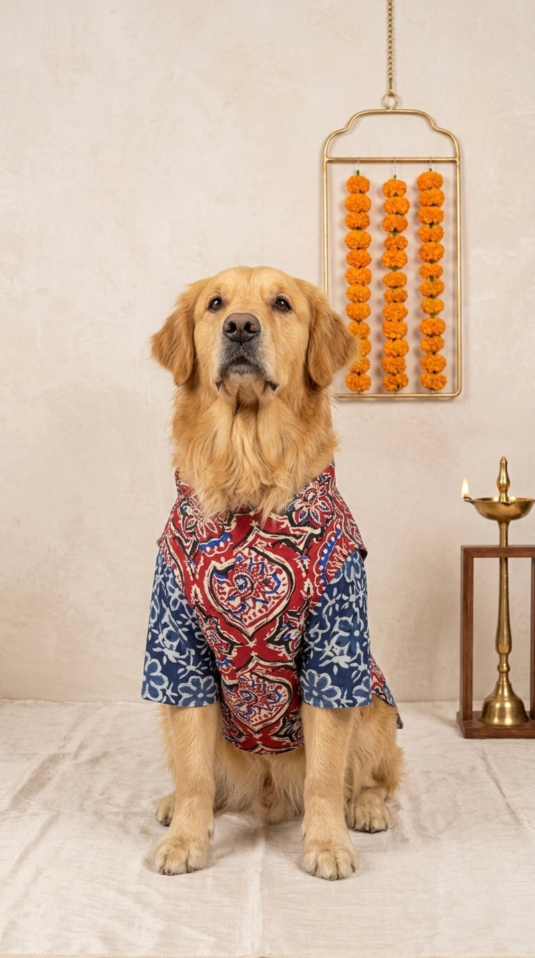 Rangini cotton bandhgala with Indigo kurta