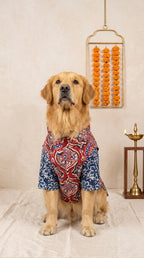 Rangini cotton bandhgala with Indigo kurta