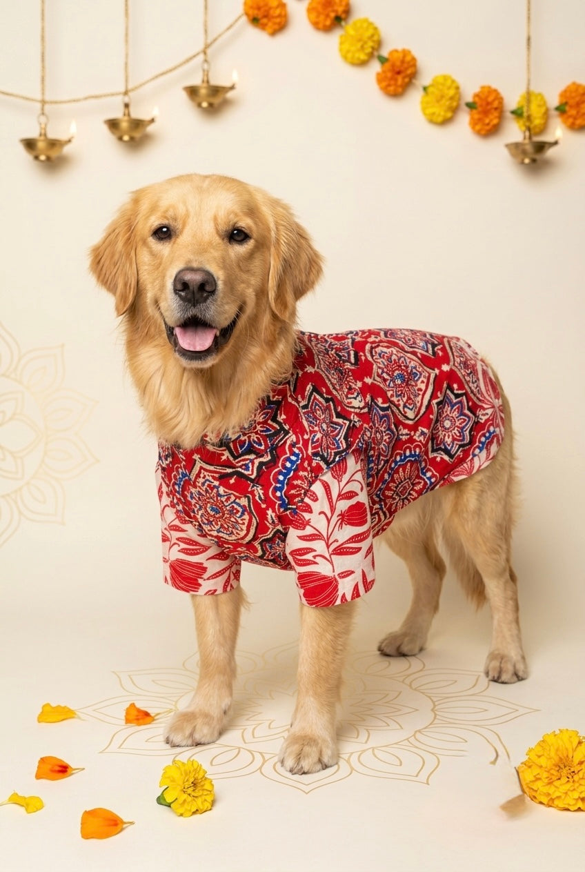 Rangini cotton bandhgala with Taamara kurta