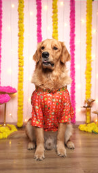 Gulabi Utsav Kurta