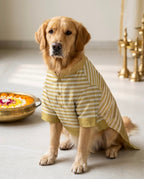 Pon Nool Kurta