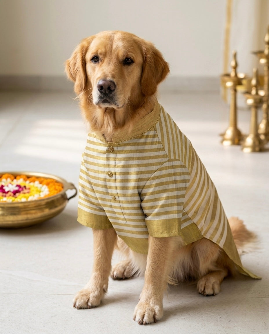 Pon Nool Kurta