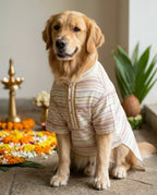 Varnarekha Kurta