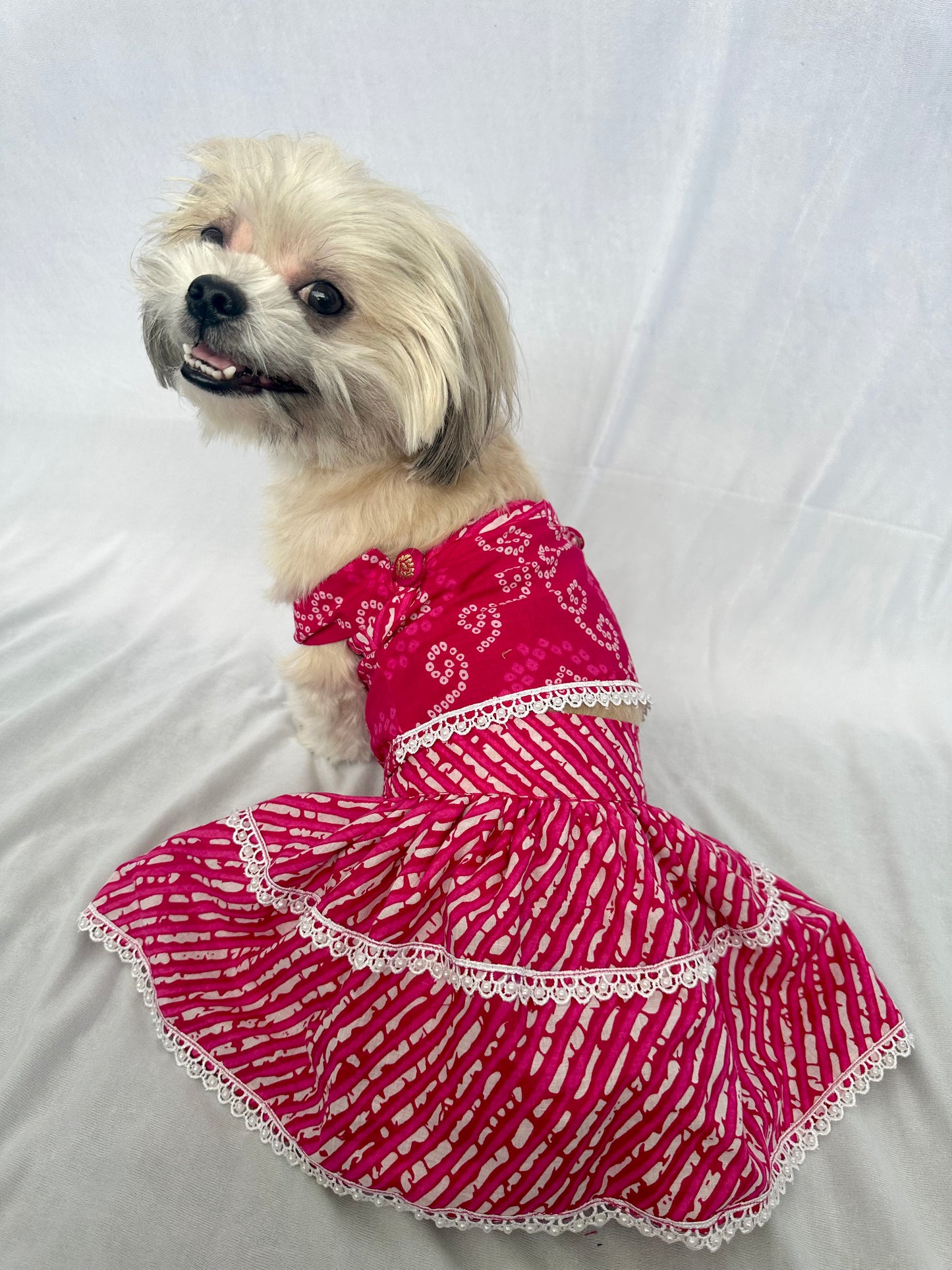 Pink bandhani lehenga choli