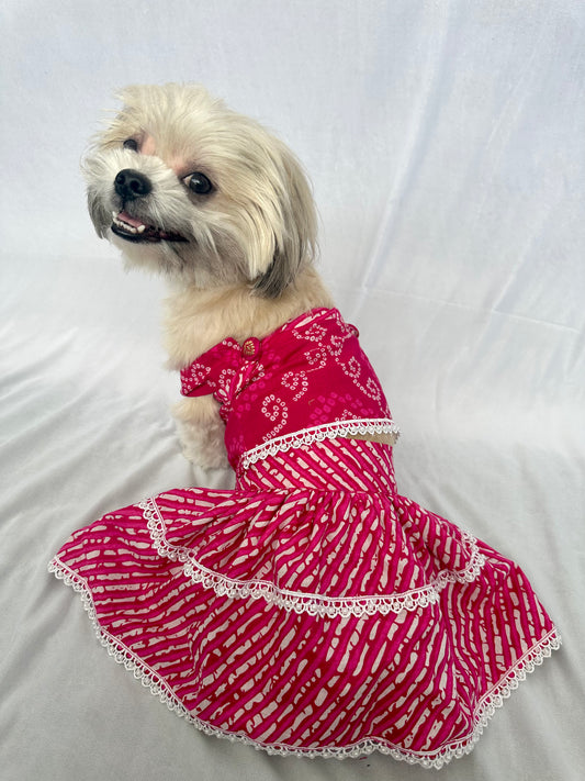 Pink bandhani lehenga choli