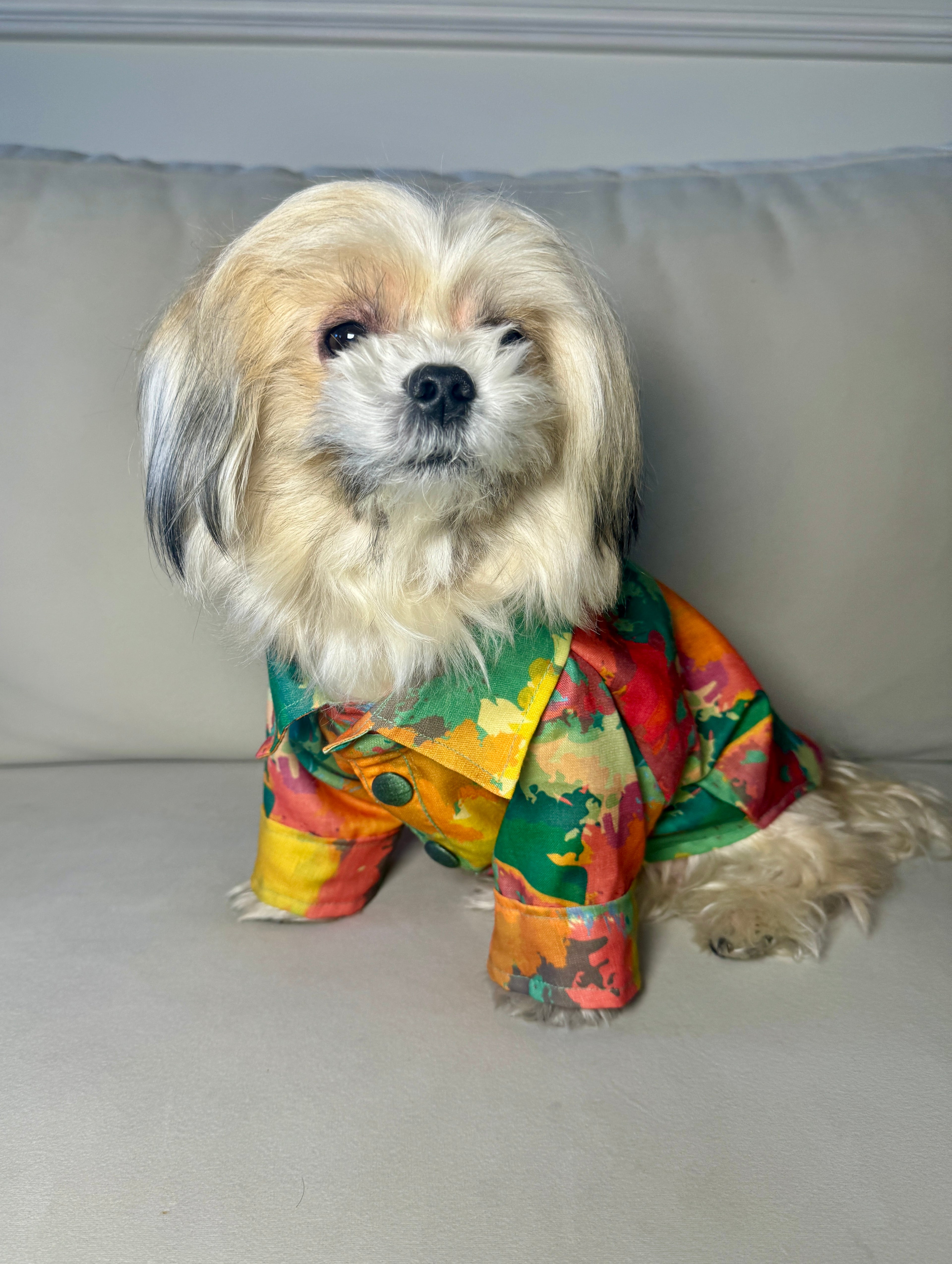 Green colourful shirt