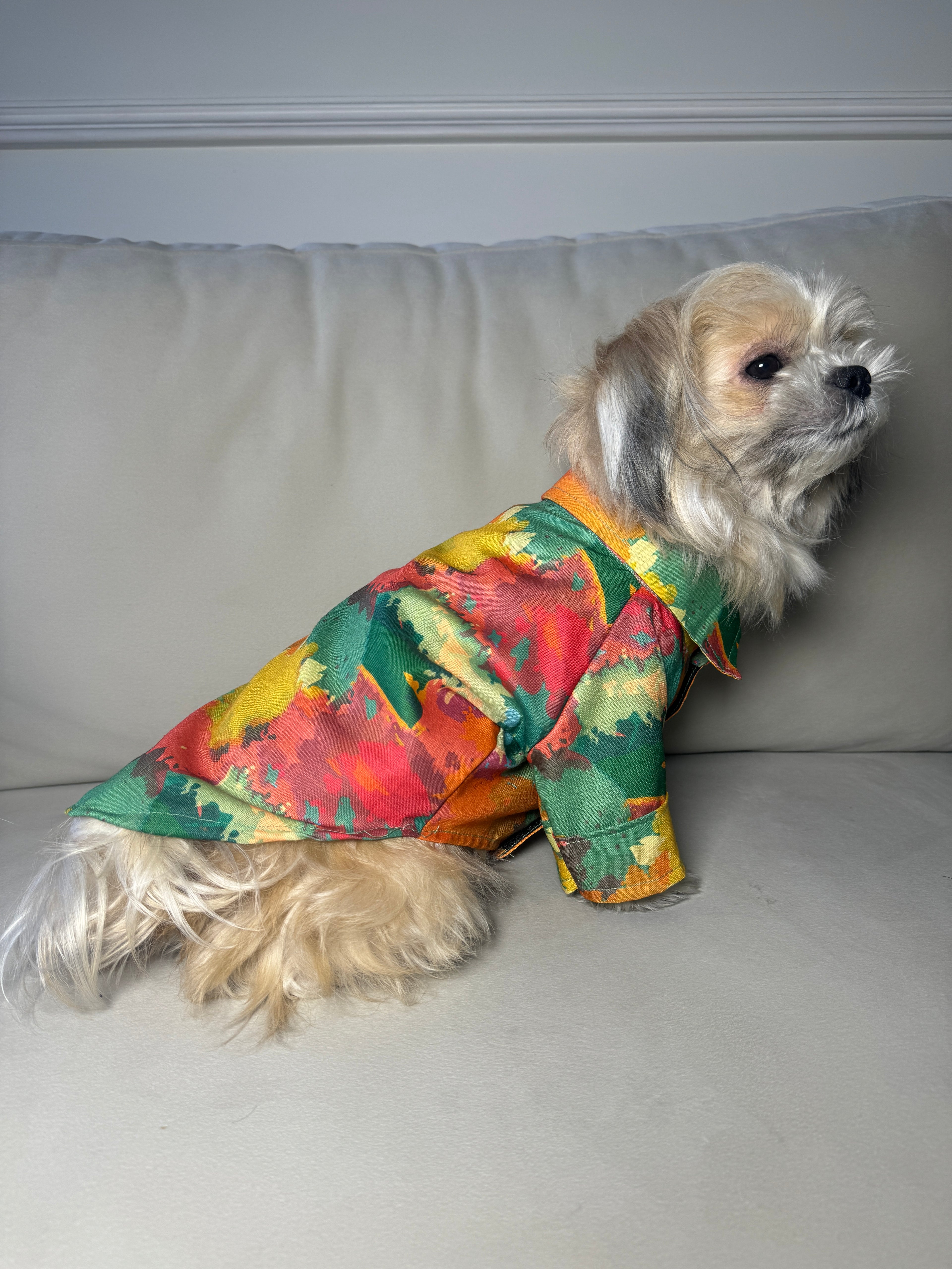 Green colourful shirt