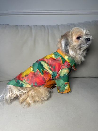 Green colourful shirt