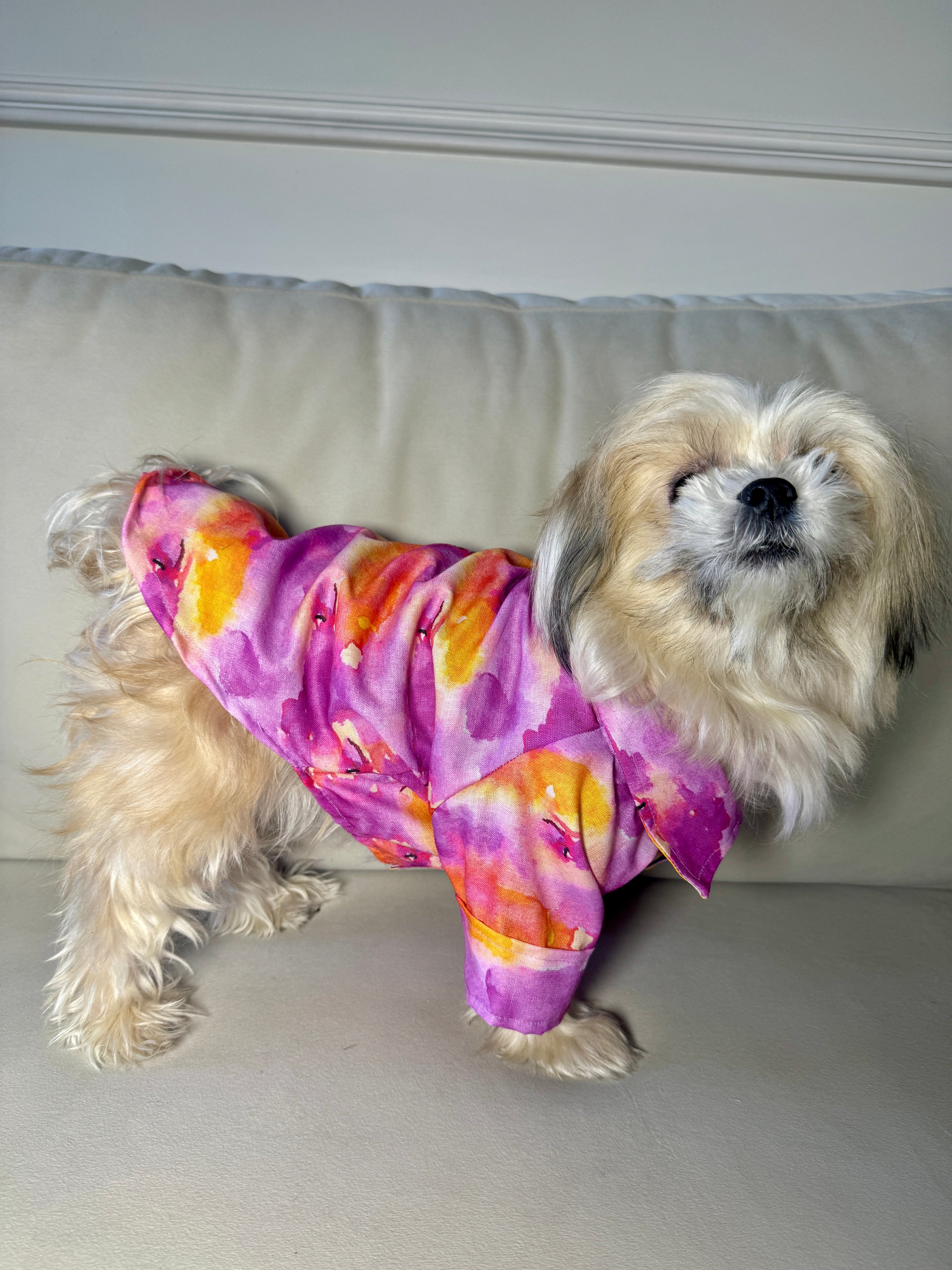 Pink colourful shirt