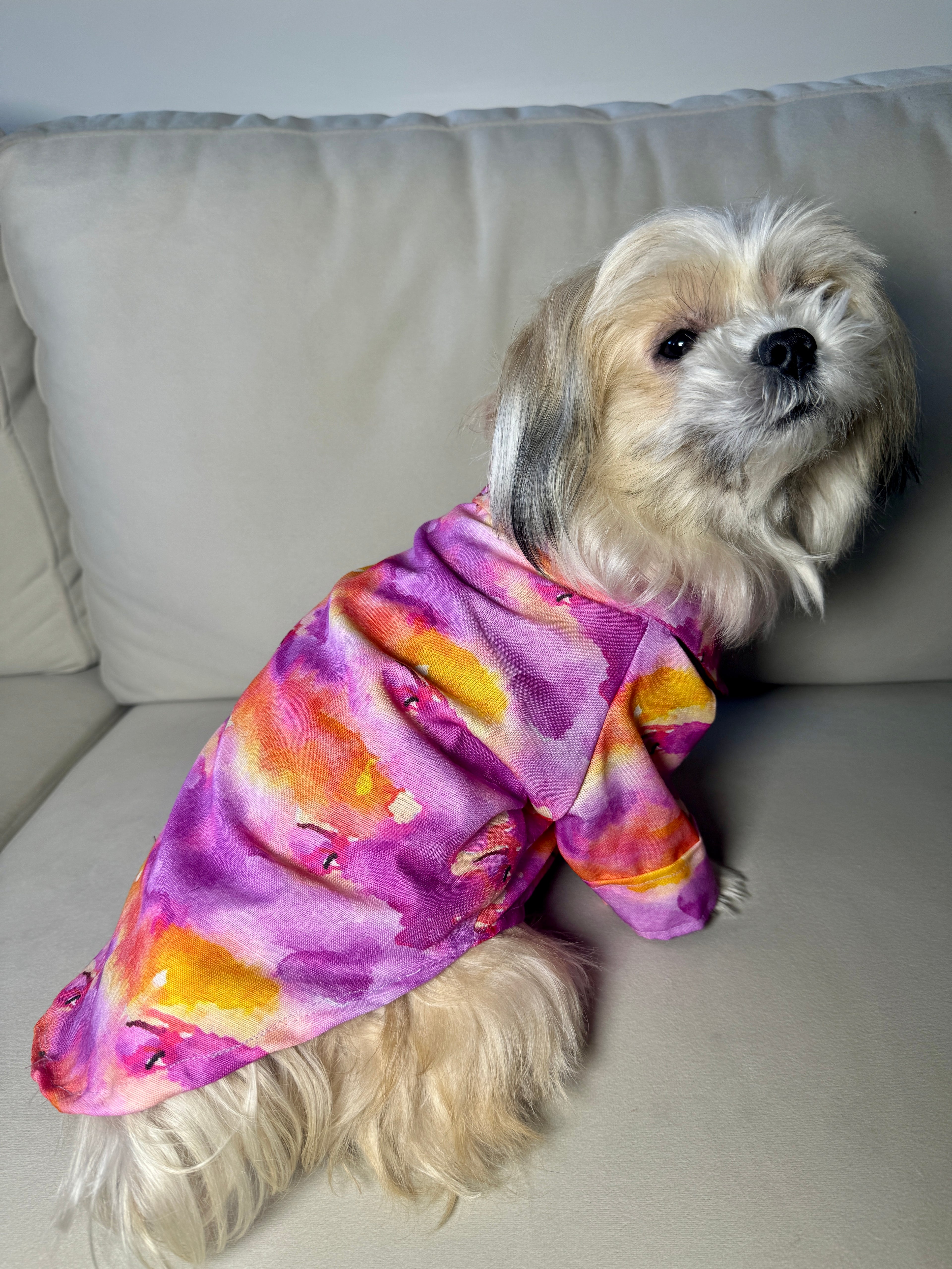 Pink colourful shirt