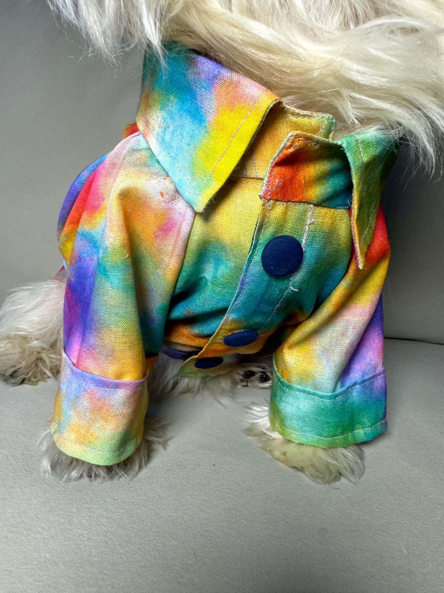 Colourful Shirt