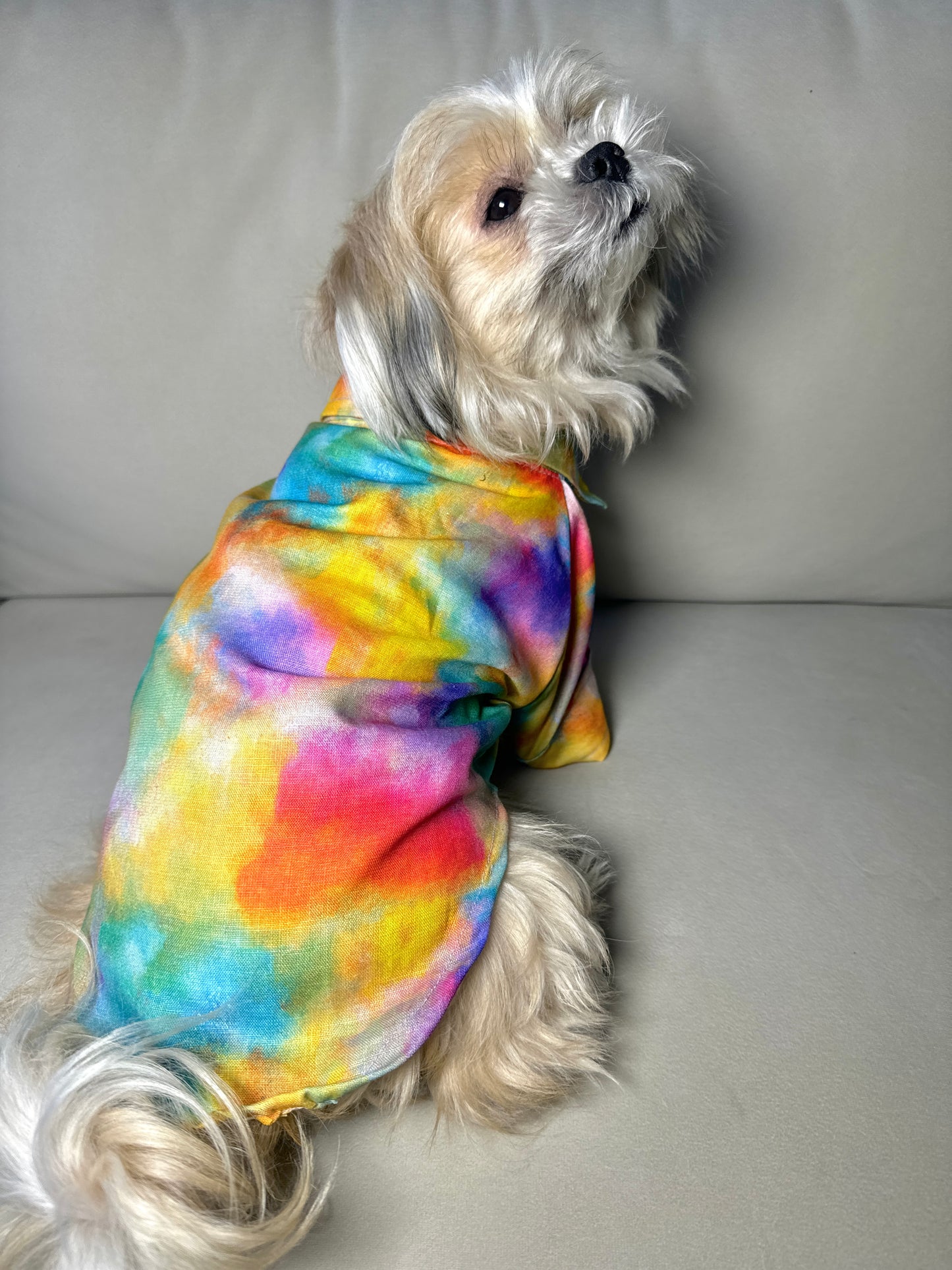 Colourful Shirt