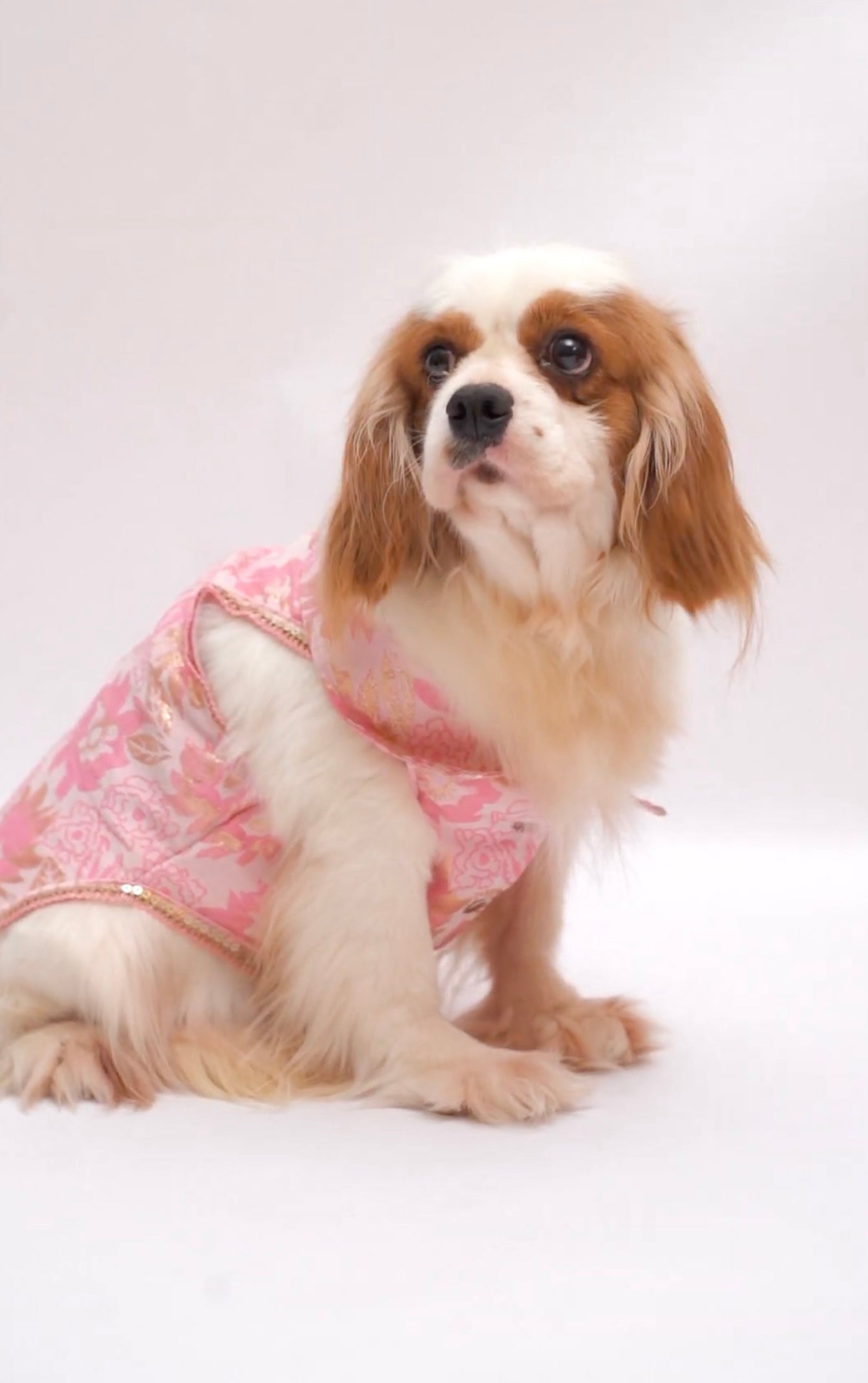 Pink brocade bandhgala