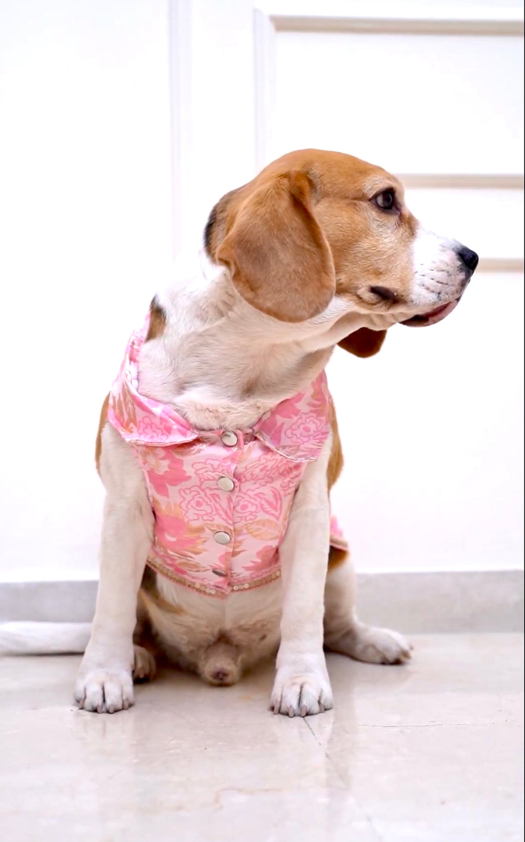 Pink brocade bandhgala