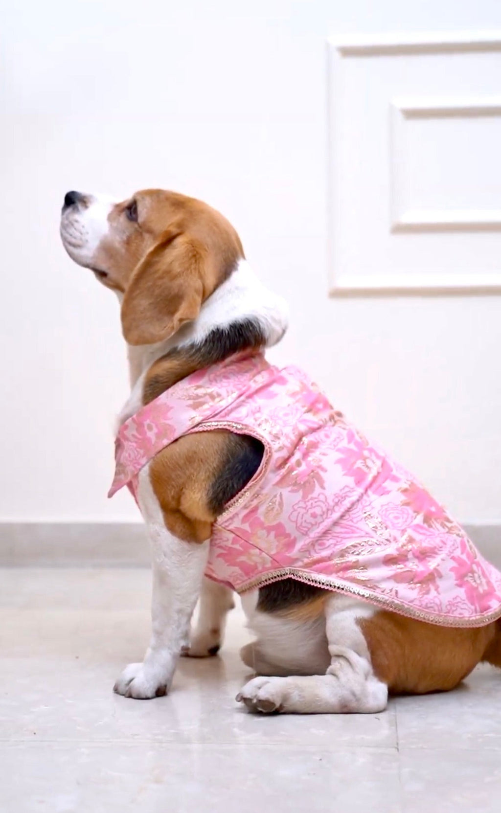 Pink brocade bandhgala