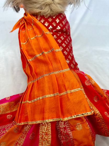 Sehr Saree dress